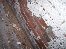 Peeling paint on a foundation or white powdery resiude (effluourescence) indicate areas where dampness comes and goes or exists more frequently.  A moisture meter is used to determine the dampness on the day of the inspection, but whether it is dry or not, the inspector will advise you of various courses of action.  Even if dry that day, dampness can reoccur.  This situation is mos common in older basements which are more prone to moisture penetration, as with this brick foundation.